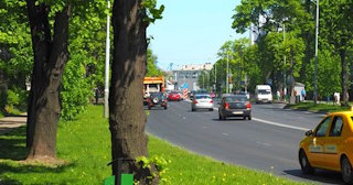 Посадка деревьев и кустарников в Ханты-Мансийске — стоимость от 1225 руб.